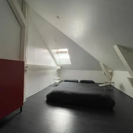 Dream Loft Apartment Colmar